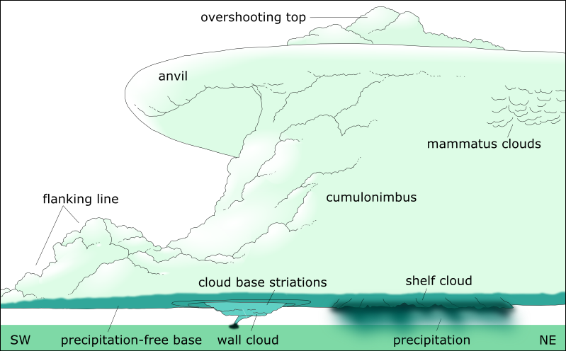 Schematic of supercell thunderstorm, courtesy NOAA, redrawn by Vanessa Ezekowitz.