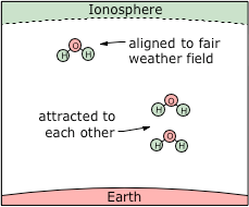 Dipolar water molecules get aligned by the fair weather field, and then are attracted to each other. Green = positive; red = negative.