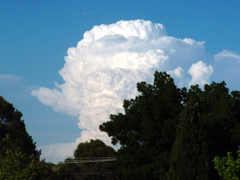 Cumulonimbus cloud in Wagga Wagga, NSW, Australia, 2005-11-25, courtesy Bidgee.