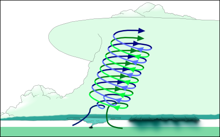 The vertical rotation grows into a mesocyclone.